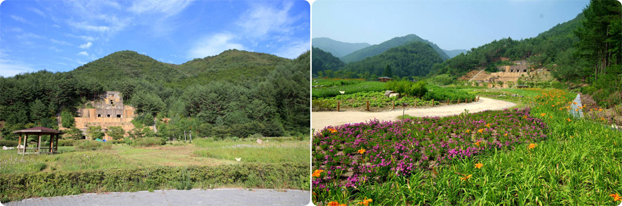 일월산자생화공원 전경