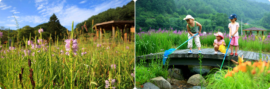 일월산자생화공원 전경