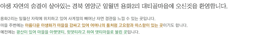 야생 자연의 숨결이 살아있는 경북 영양군 일월면 용화2리 대티골마을에 오신것을 환영합니다.용화2리는 일월산 자락에 위치하고 있어 사계절의 빼어난 자연 경관을 느낄 수 있는 곳입니다.마을 주변에는 아름다운 야생화가 마을을 감싸고 있어 어머니의 품처럼 고요함과 따스함이 있는 곳이기도 합니다. 예전에는 광산이 있어 마을을 아랫댓티,윗탯티라고 하여 탯티마을로 불린곳입니다.