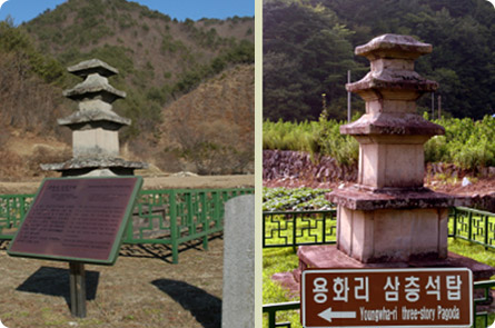 일월산자생화공원
