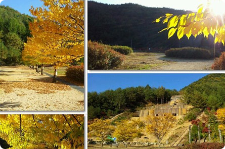 대티골 공원 전경