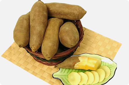 야콘