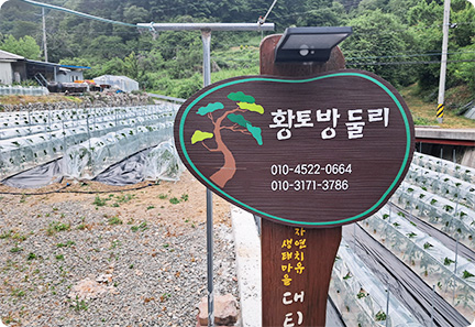 둘리