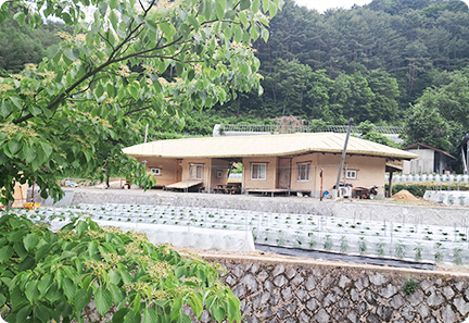 둘리