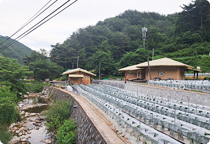 둘리
