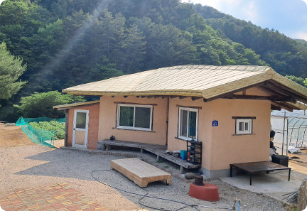 야생화