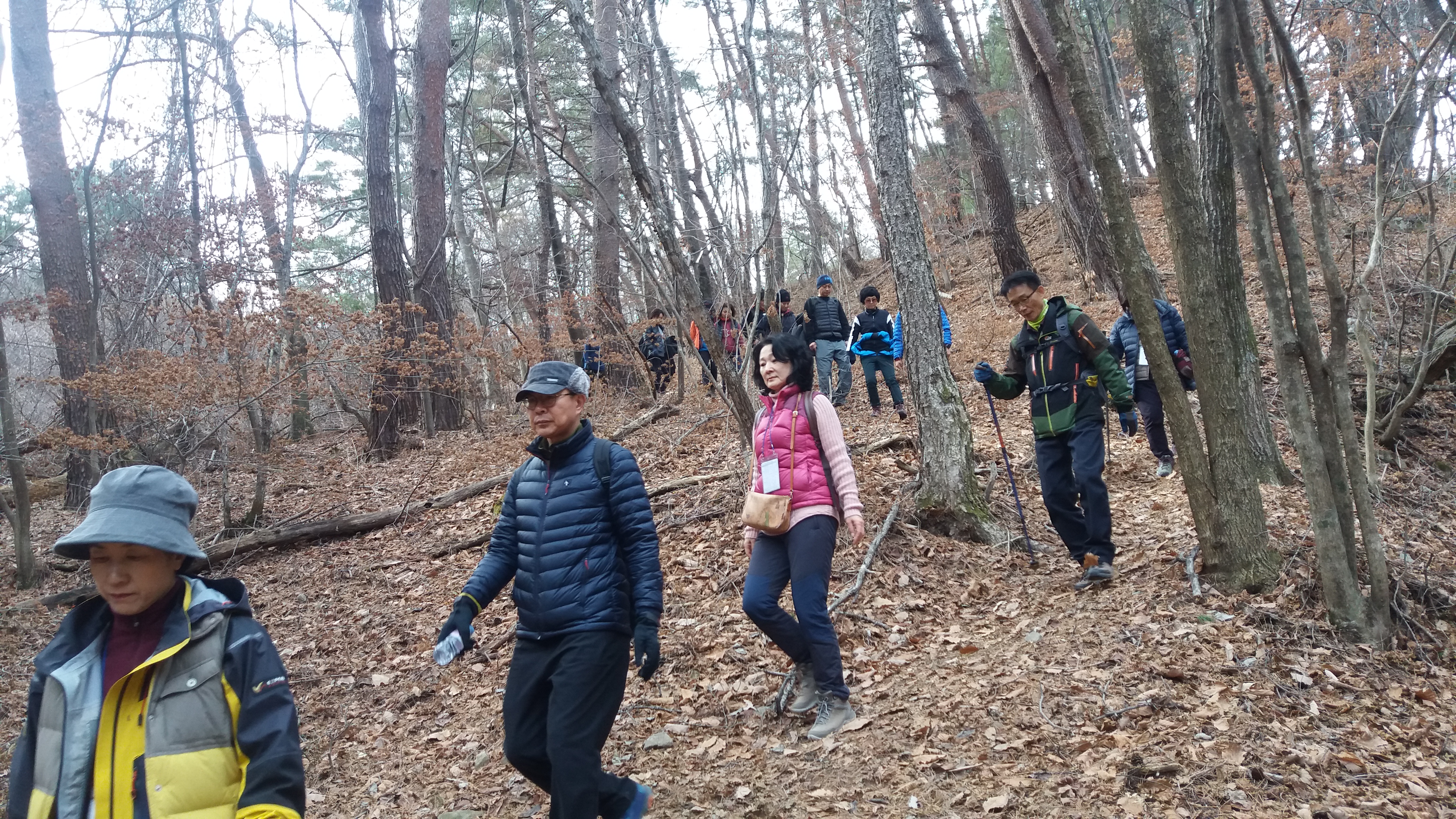 서울팀 대티골 입문 기행