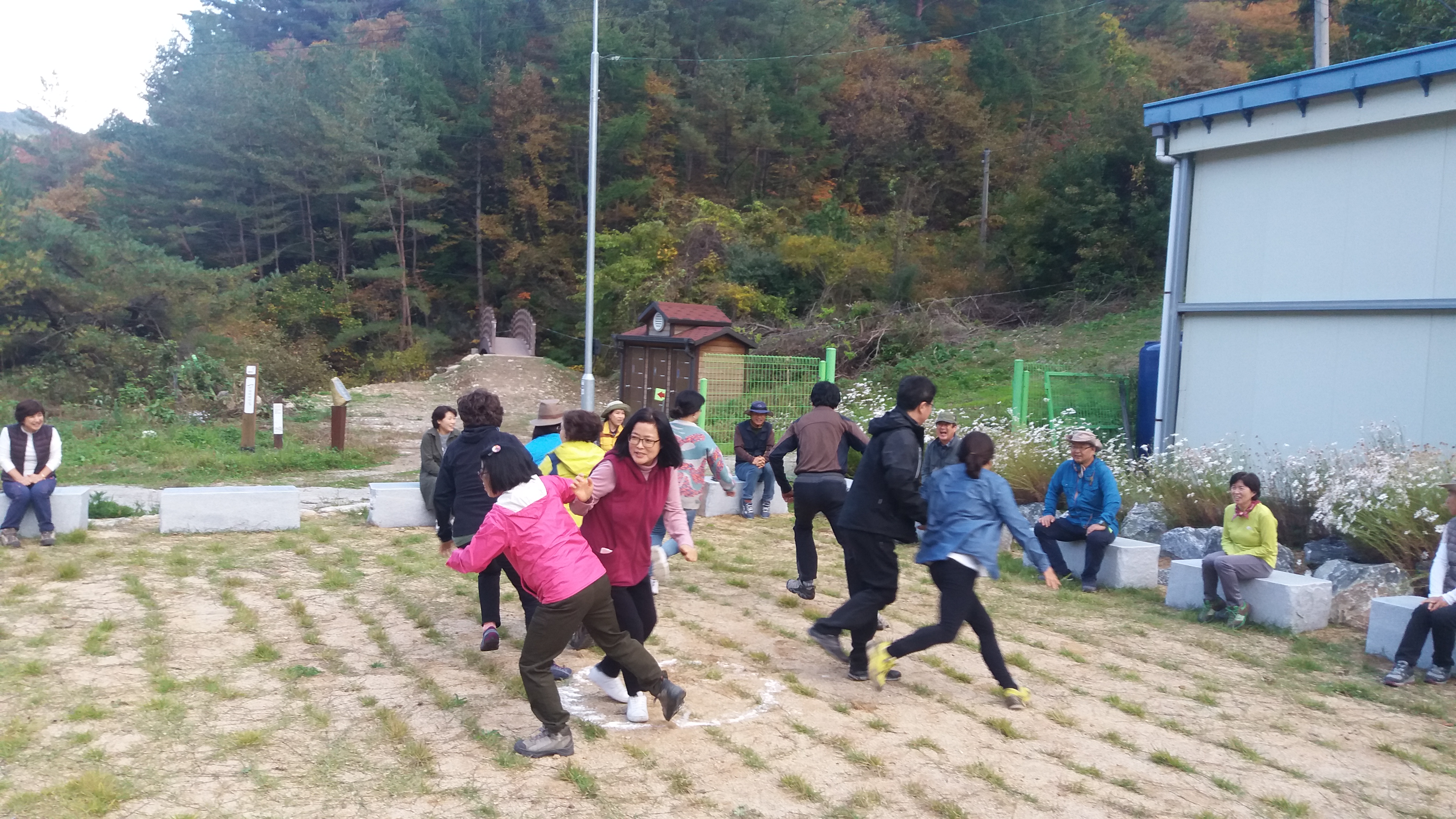 태백 ....숲을 사랑 하시는 모임 체험