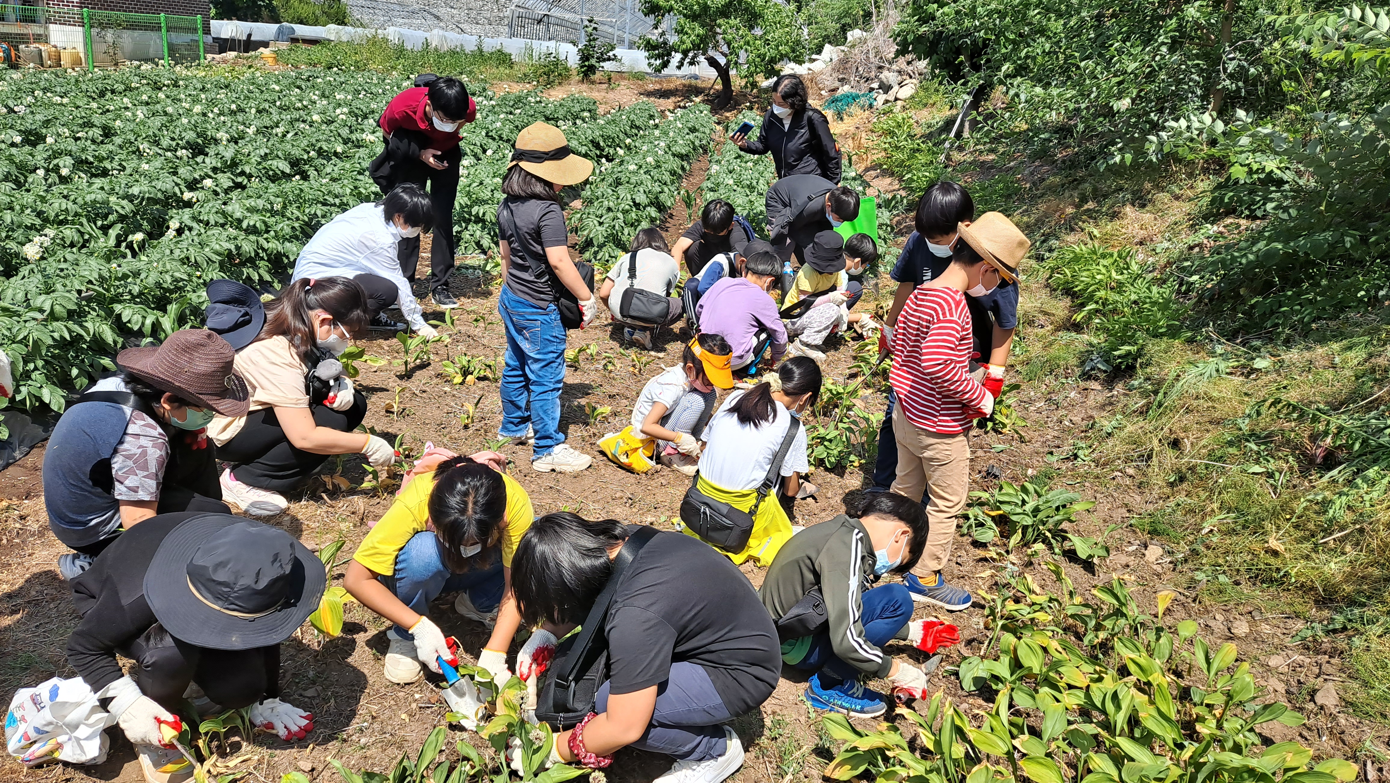 수비초등학교 체험