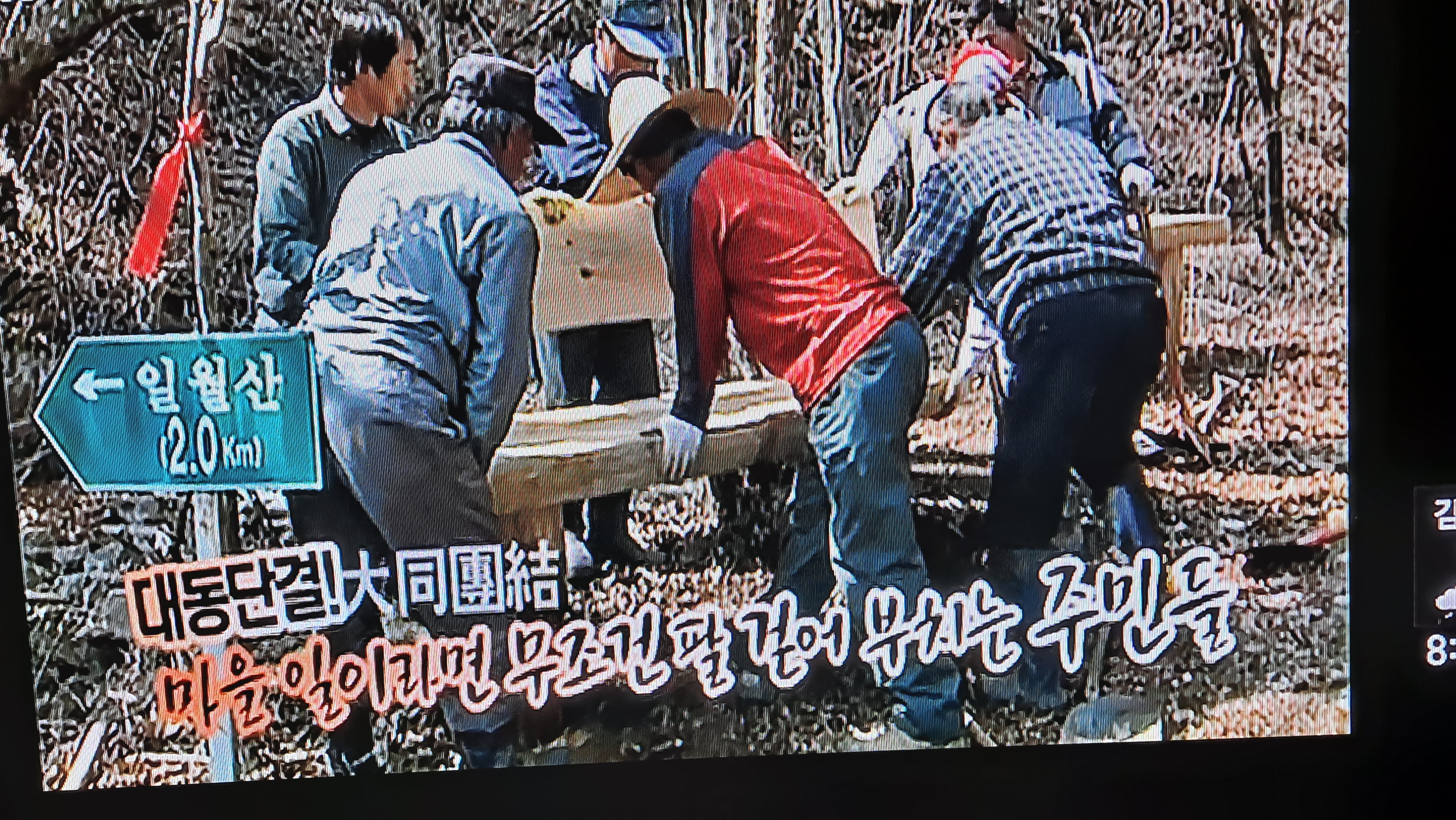 TBC 싱싱고향별곡(5월1일 방송분)