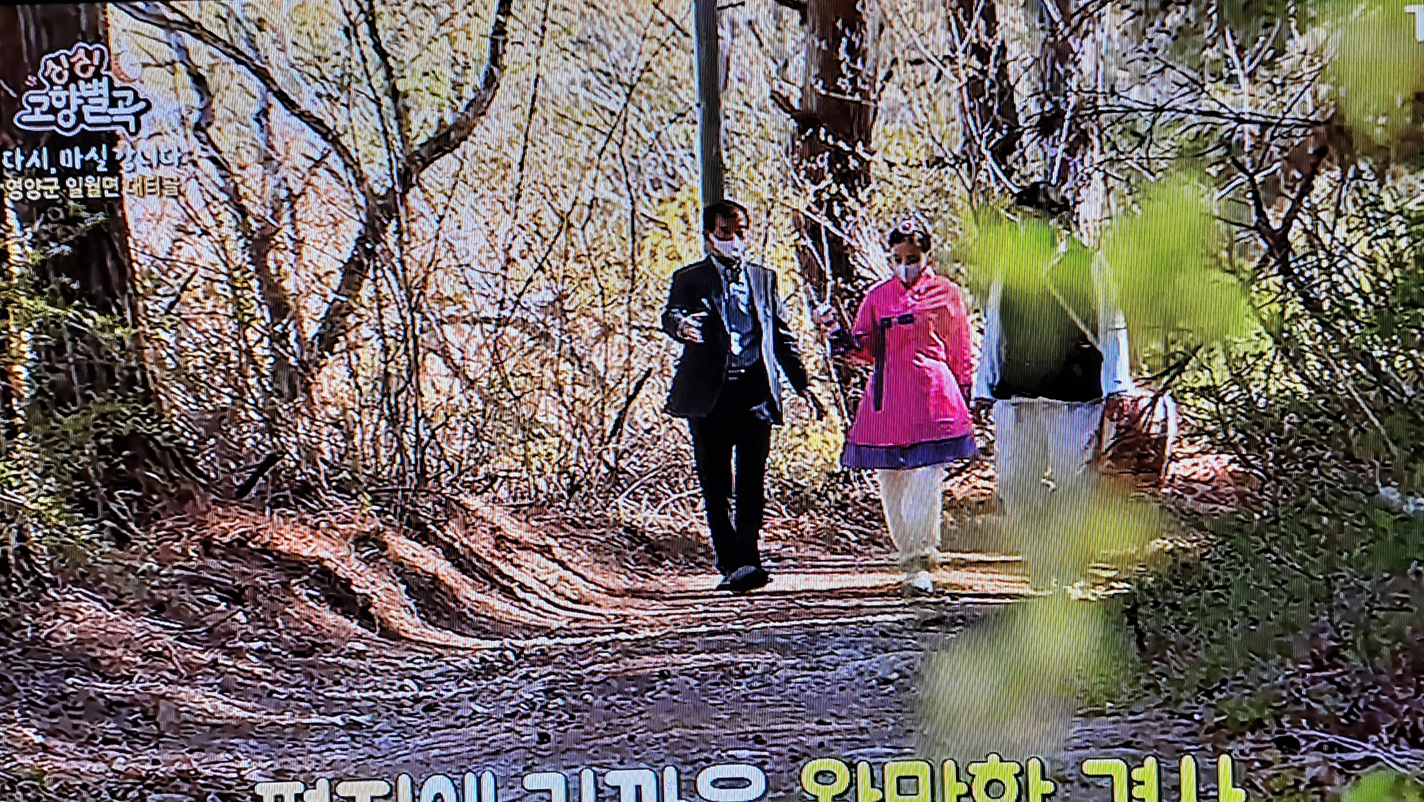 TBC 싱싱고향별곡(5월1일 방송분)