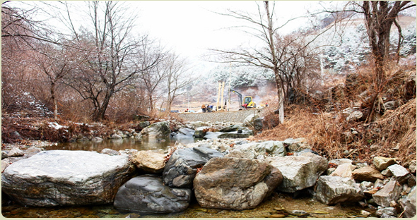 항골